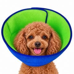 LH NTGR soft dog cone shown from the front.