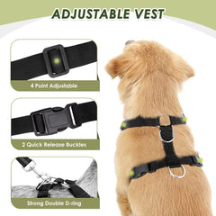 Lukovee dog car harness with adjustable neck and chest straps.