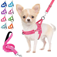 Lukovee small dog harness and leash set shown from the front.