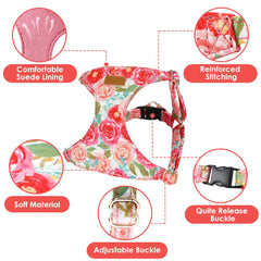 Lukovee small dog harness with adjustable neck and chest straps.