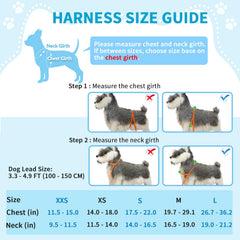 Lukovee small dog harness front D-ring for leash attachment.