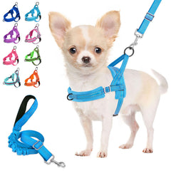 Lukovee small dog harness and leash set shown together from the front.