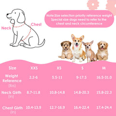 Lukovee small dog harness pictured with its matching detachable leash.