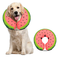 MIDOG inflatable dog collar shown from the front.