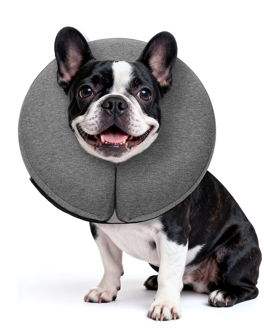 MIDOG inflatable dog collar shown from the front with its donut-shaped design.