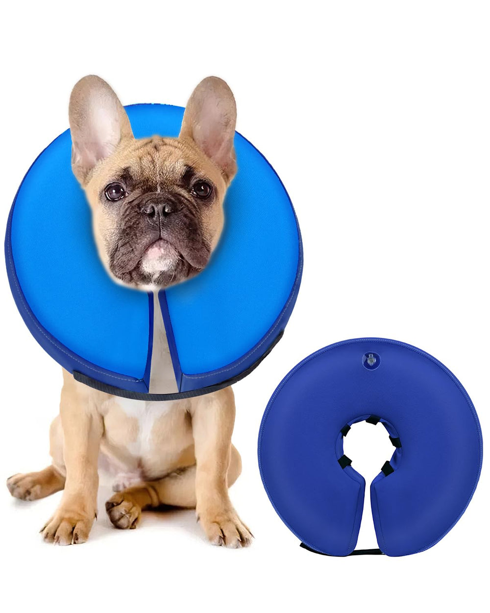 MIDOG Inflatable Dog Cone shown from the front in its donut-shaped form.