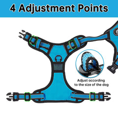 NESTROAD dog harness close-up showing its quick-release buckle details.
