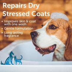 Nootie Pet Shampoo label shown in a close-up view.