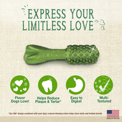 One Nylabone Nutri Dent natural dental chew shown on its own.