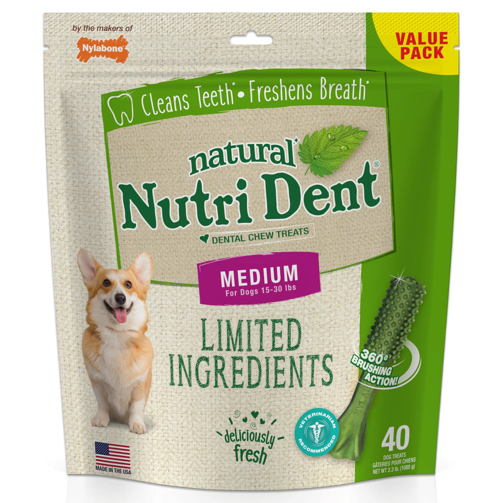 Nylabone Nutri Dent dental chews shown with the product packaging.