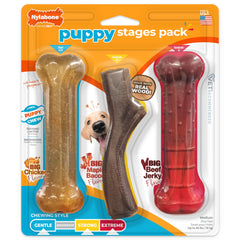 Nylabone Puppy Stages Pack front view showing the puppy chew toy set.