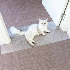 Oroonoko Carpet Protector shown from the front in clear PVC.