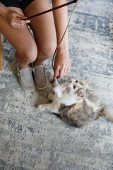 Our Pets Play-N-Squeak Teathered & Feathered cat wand showing the teaser end.