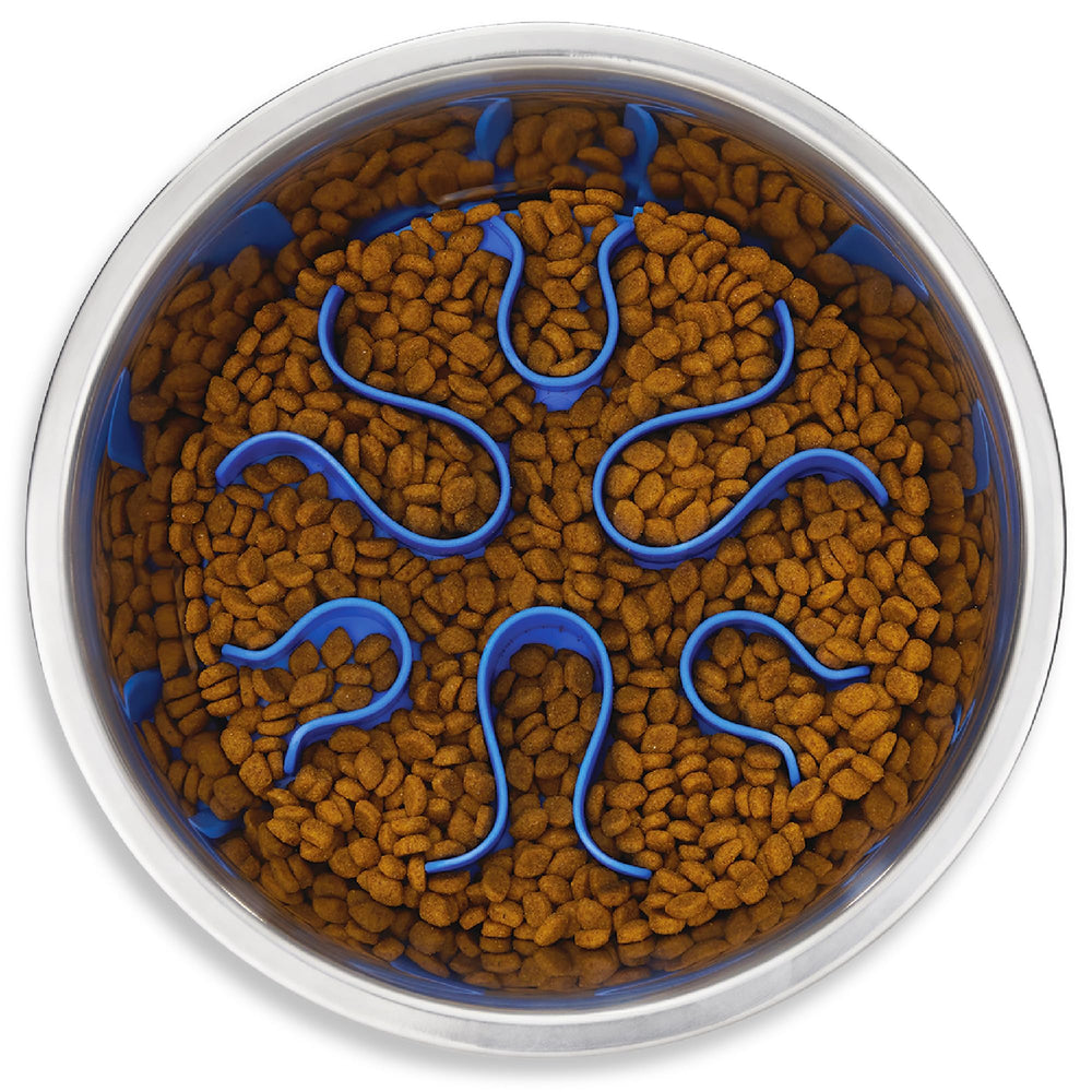 Outward Hound Fun Feeder Slo Bowl shown from the front.