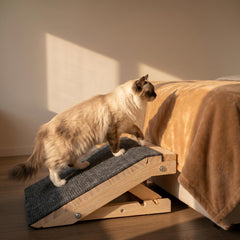 ownkid wooden dog ramp with its textured carpet climbing surface.