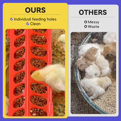 Pawaboo Chick Brooder Box kit plastic waterer with its enlarged tray.