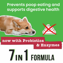Pawsential No Poo Chews shown in a close-up of the chew pieces.