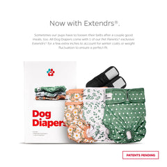 Pet Parents dog diaper close-up showing its Velcro fastening.