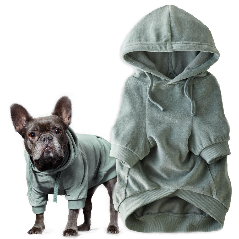 Pet Passion Cooper II Dog Hoodie shown from the front in sage.