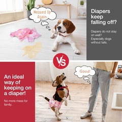 Pet Soft Dog Suspenders highlighting the three-webbing layout.