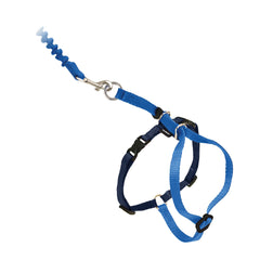 PetSafe cat harness and bungee leash set shown from the front.