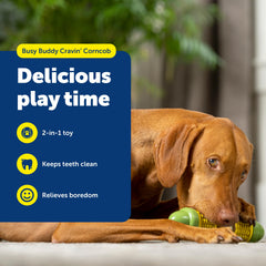 PetSafe Busy Buddy Cravin Corncob dog toy close-up of its textured kernels.