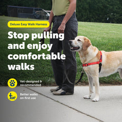 PetSafe Deluxe Easy Walk Harness close-up of its padded neoprene straps.