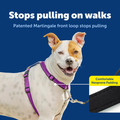 PetSafe Easy Walk 3-in-1 dog harness back leash attachment detail.