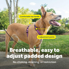 PetSafe Easy Walk 3-in-1 dog harness gray seat-belt loop close-up.