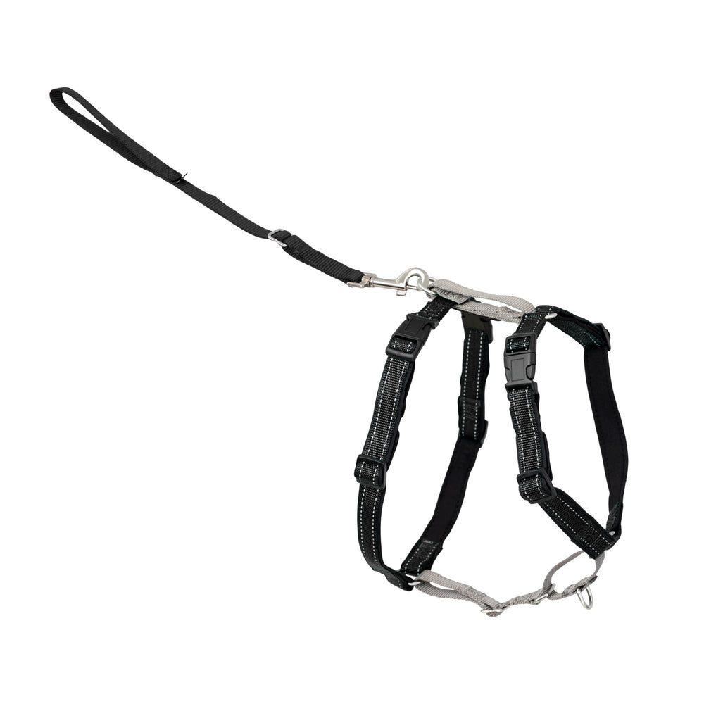 PetSafe 3 in 1 dog harness shown from the front in black.