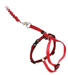 PetSafe Come With Me Kitty Harness adjustment points shown clearly.