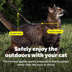 PetSafe Come With Me Kitty Harness paired with its stretchy bungee leash.