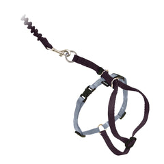 PetSafe Come With Me Kitty Harness and Bungee Leash shown from the front.