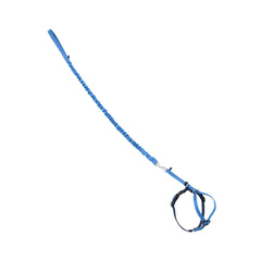 PetSafe Come With Me Kitty harness and bungee leash shown from the front.