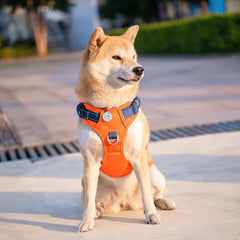 PHOEPET dog harness detail focused on the padded back handle.