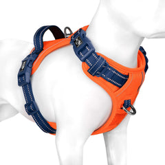 PHOEPET dog harness shown from the front as an adjustable vest.