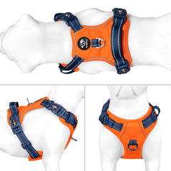 PHOEPET dog harness close-up showing its fast-release buckles.