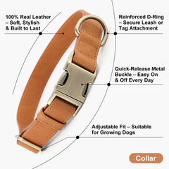 PLUTUS PET leather dog collar with its leather surface in close view.