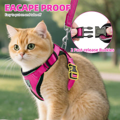 PUPTECK cat harness detail showing its adjustable straps.