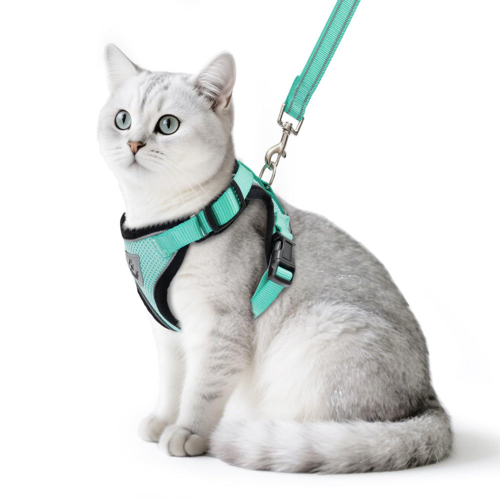PUPTECK cat harness and leash set shown from the front in aquamarine.
