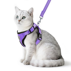 PUPTECK cat harness and leash set shown from the front in purple.