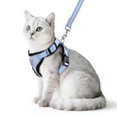 PUPTECK cat harness and leash set shown from the front in sky blue.