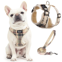 PUPTECK small dog harness and leash set shown from the front.