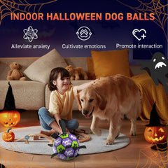QDAN dog ball being carried by a dog using one of its short straps.
