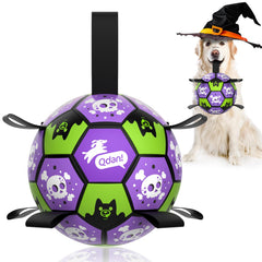QDAN dog ball front view showing its purple and green Halloween graphics.
