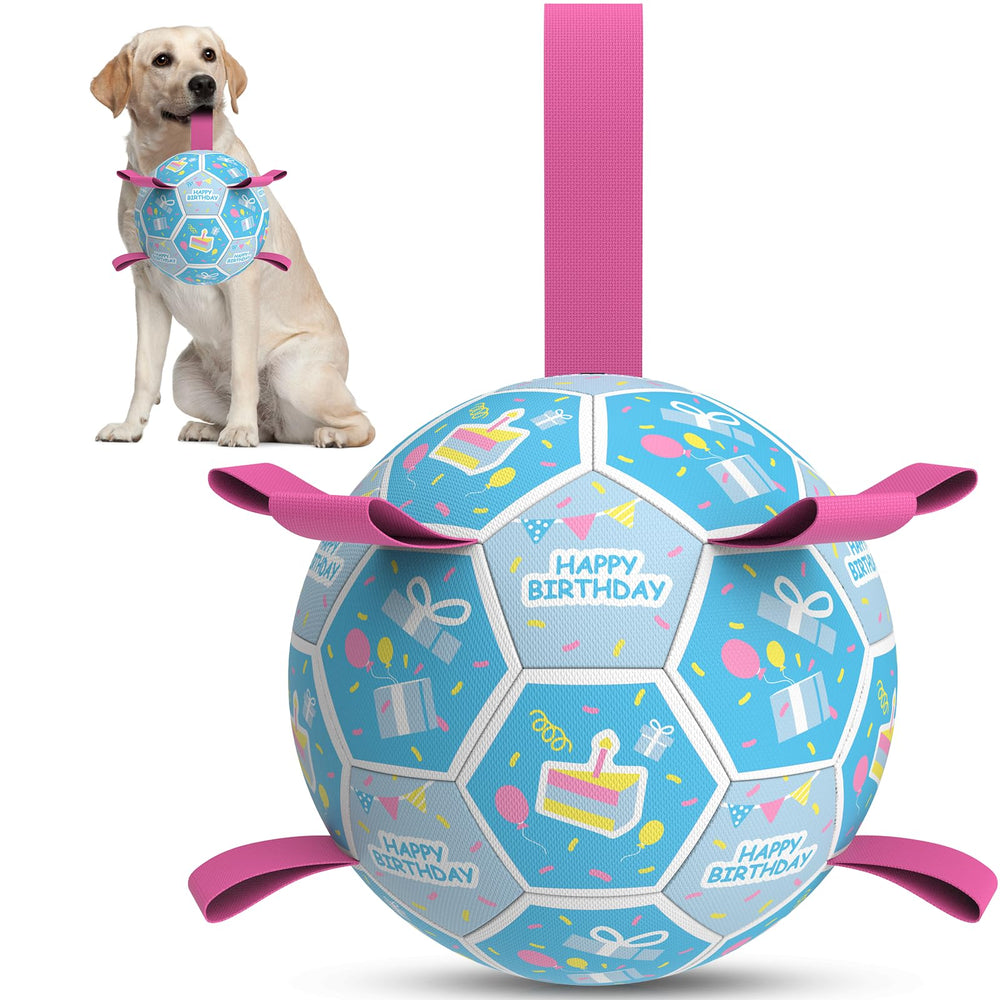 QDAN dog birthday soccer ball shown from the front.