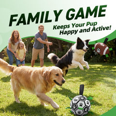 QDAN dog football shown from an alternate angle.