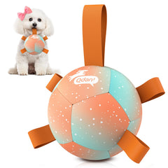 QDAN dog soccer ball shown from the front.
