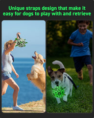 QDAN glow-in-the-dark dog ball showing its green fluorescent glow.