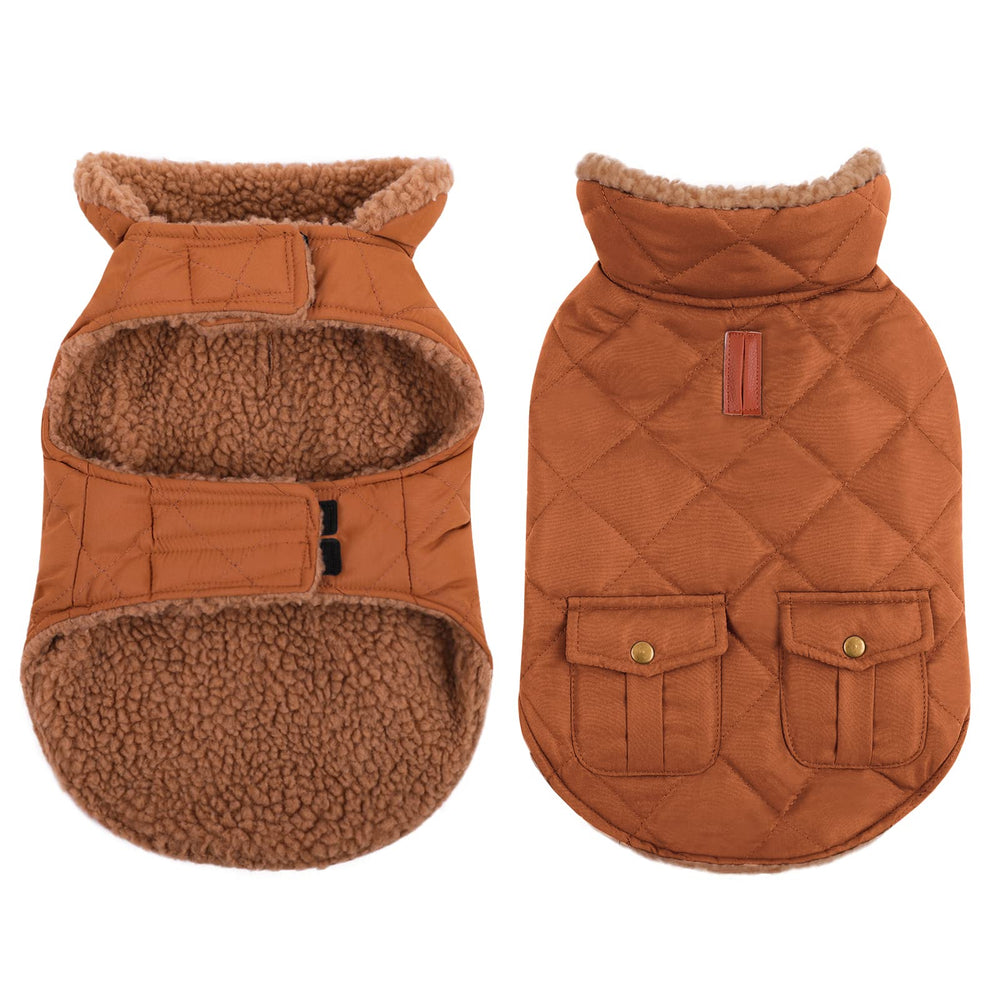 Queenmore dog jacket shown from the front.